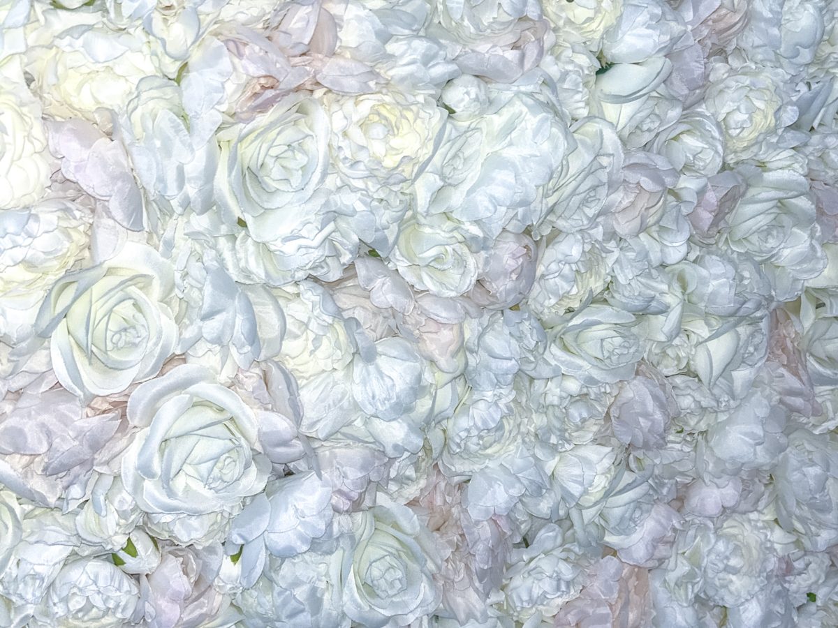 legant rose wall backdrop in Tampa, FL. The lush floral arrangement adds a dreamy and timeless touch, creating the perfect setting for a breathtaking bridal portrait in Riverview, Florida.