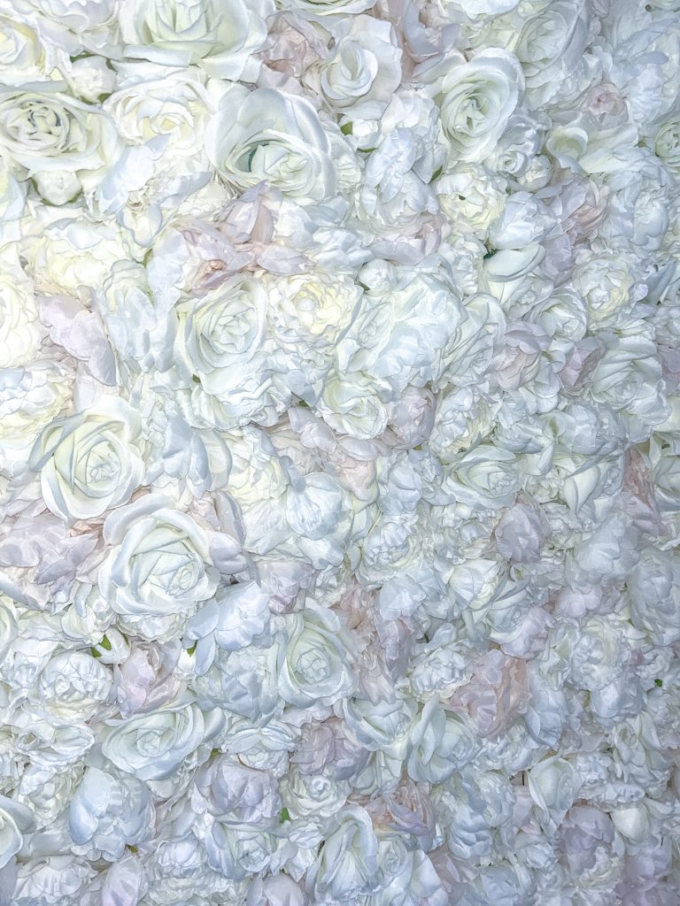 legant rose wall backdrop in Tampa, FL. The lush floral arrangement adds a dreamy and timeless touch, creating the perfect setting for a breathtaking bridal portrait in Riverview, Florida.